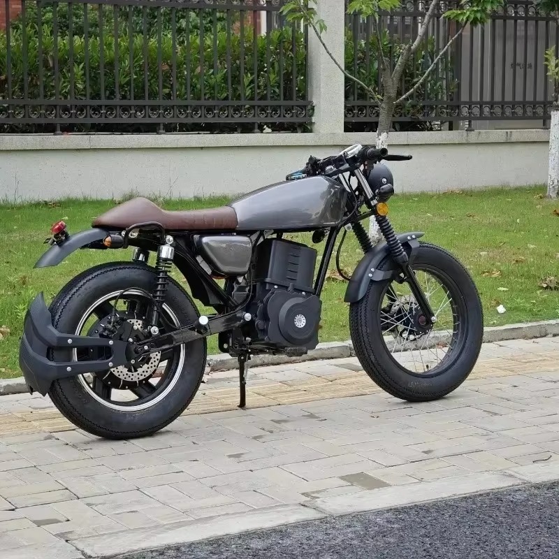 Motocicleta Eléctrica Estilo V - Brake Disc Motorcycle reseña y precio